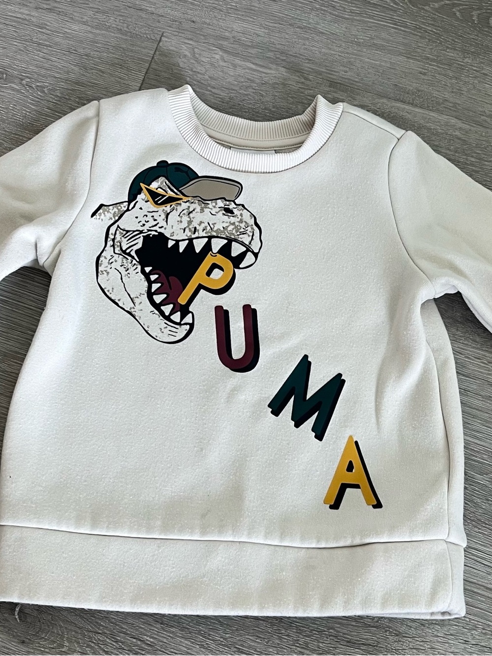 2T Puma sweatshirt